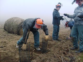 2011_01_28_Parc_Naturel_Pilat_01_plantations_gmnf