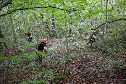 2017-10-26-bac-pro-gmnf-sentier-forestier