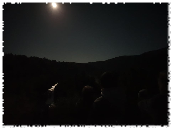 2019-09-19-gmnf-affut-faune-nuit-lune