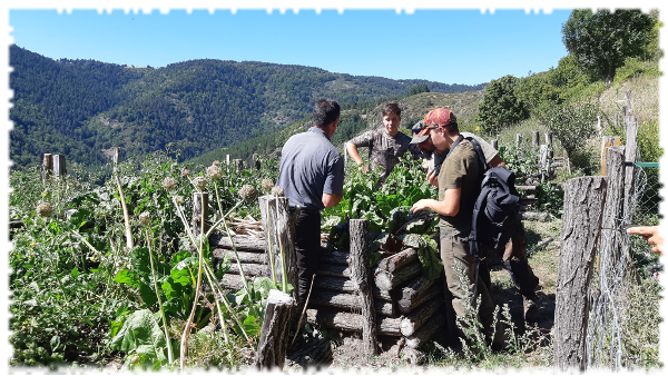 2019-09-19-gmnf-agriculture-ecologie-ferme-franck-02