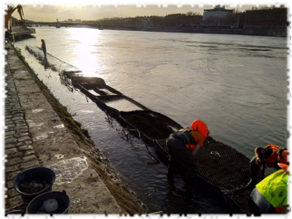 2019-12-20-genie-vegetal-gabion-lyon-panorama-02