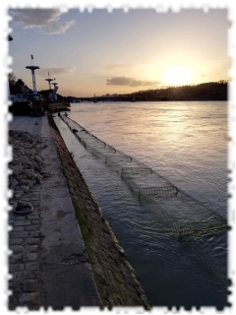 2019-12-20-genie-vegetal-gabion-lyon-panorama-03