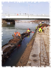 2019-12-20-genie-vegetal-gabion-lyon-riviere-05