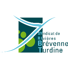 logo-syribt