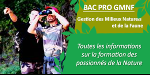 Gmnf Bac Pro Gestion Milieux Naturels Faune