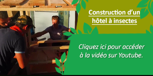 Gmnf Bac Pro Interne Hotel Insectes