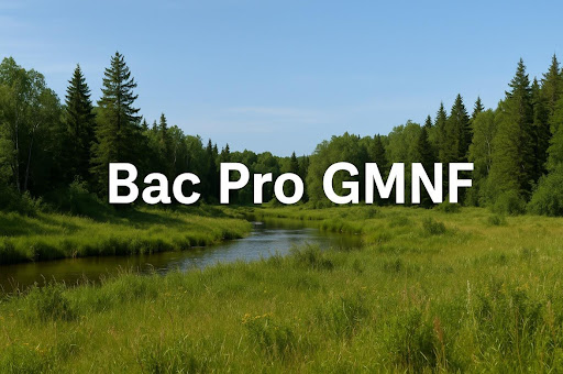 Définition Bac Pro GMNF