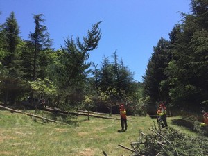 2017 06 05 Vercors Gmnf