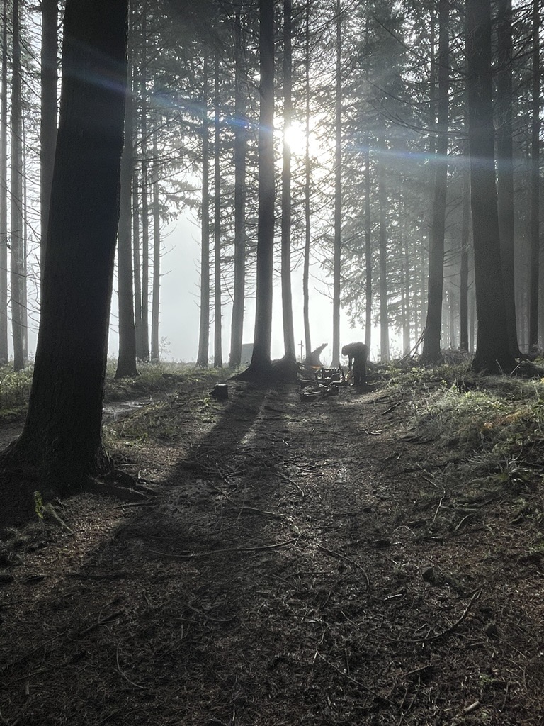 Gestion écologique réalisée par les élèves GMNF