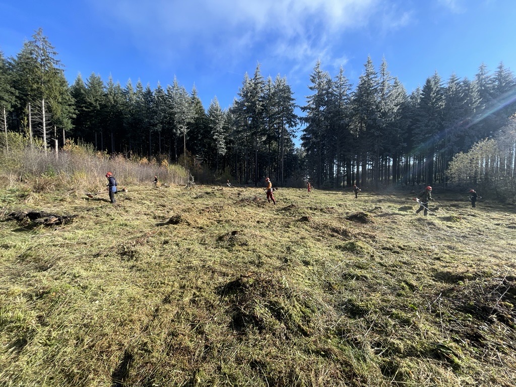 Travaux de restauration écologique réalisés par les élèves