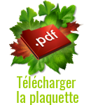icon-pdf-plaquette