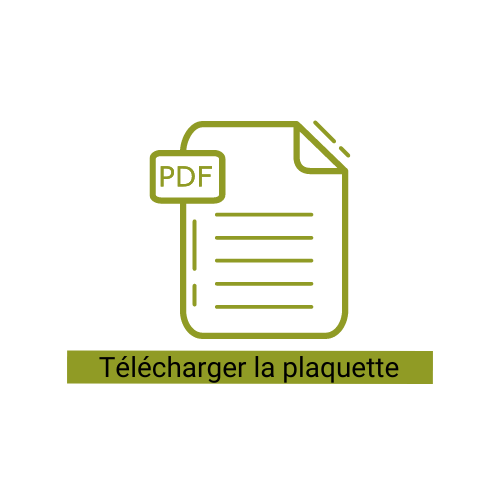 icon-pdf-plaquette