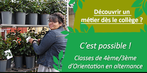 choisir son métier dès le collège de 4/3ème d'orientation